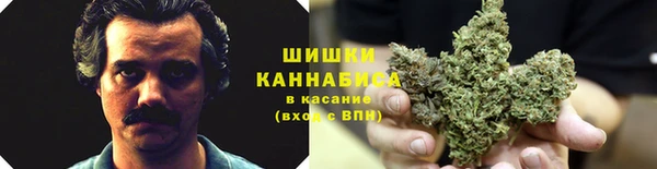 сатива Лиски